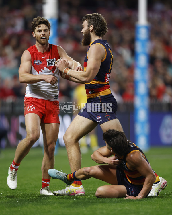 AFL 2025 Round 12 - Sydney v Adelaide - A-59774609