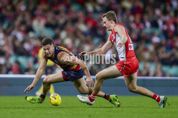 AFL 2025 Round 12 - Sydney v Adelaide - A-59774610
