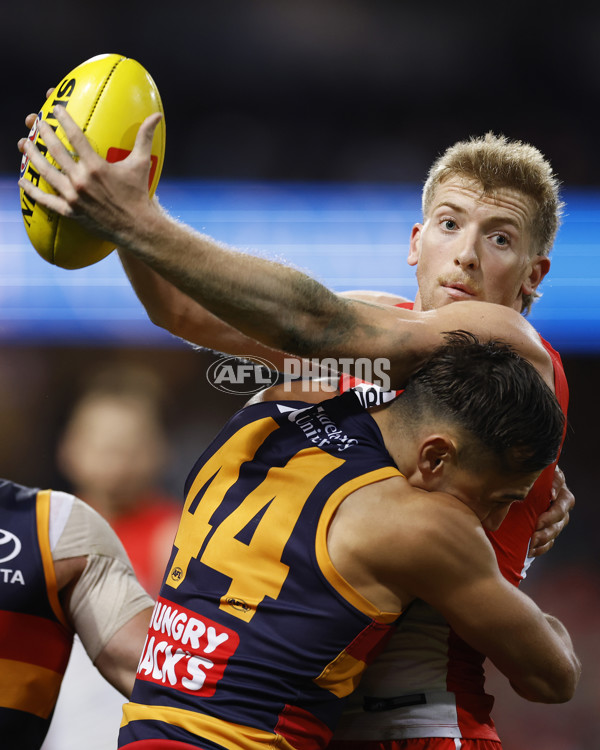 AFL 2025 Round 12 - Sydney v Adelaide - A-59774611