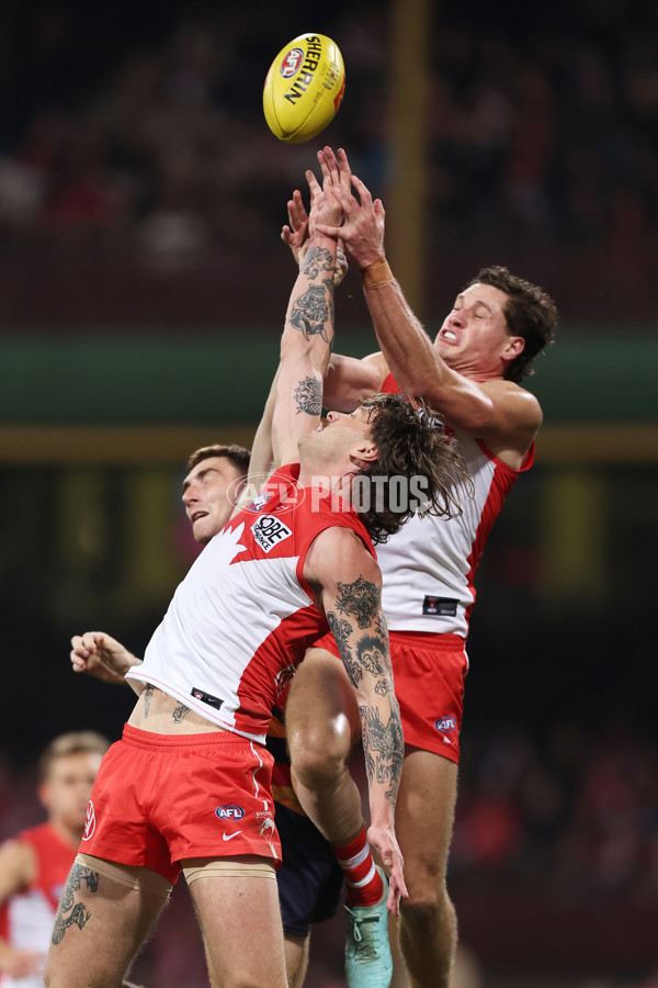 AFL 2025 Round 12 - Sydney v Adelaide - A-59774617