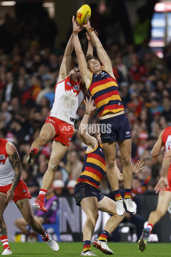 AFL 2025 Round 12 - Sydney v Adelaide - A-59776346