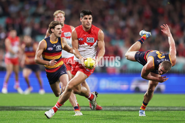 AFL 2025 Round 12 - Sydney v Adelaide - A-59776352