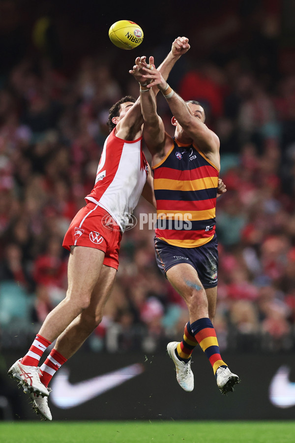 AFL 2025 Round 12 - Sydney v Adelaide - A-59776370