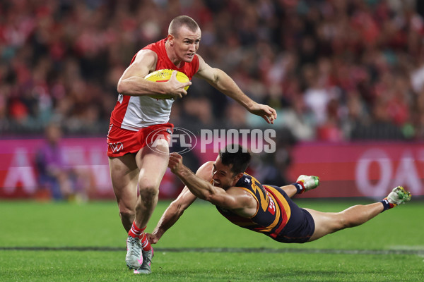 AFL 2025 Round 12 - Sydney v Adelaide - A-59776376