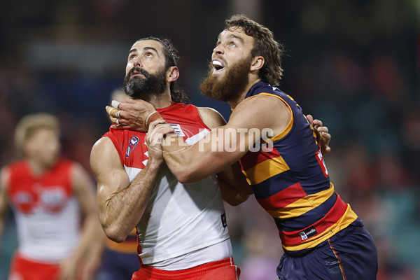 AFL 2025 Round 12 - Sydney v Adelaide - A-59776384