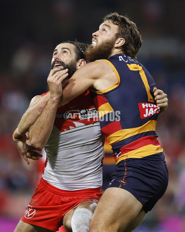 AFL 2025 Round 12 - Sydney v Adelaide - A-59776387