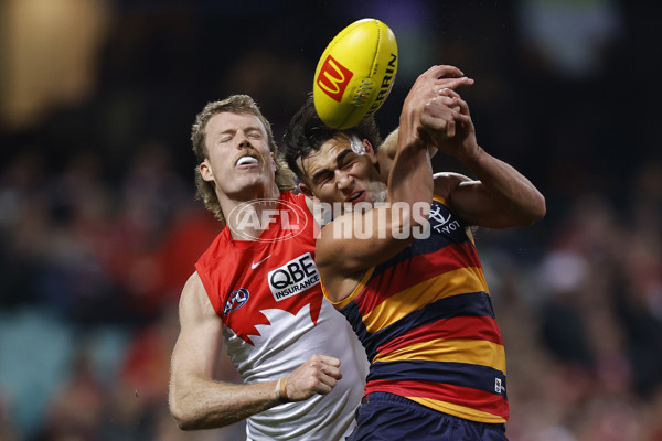 AFL 2025 Round 12 - Sydney v Adelaide - A-59776395