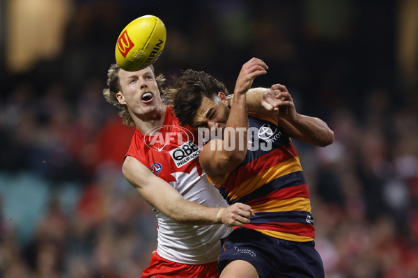 AFL 2025 Round 12 - Sydney v Adelaide - A-59776396