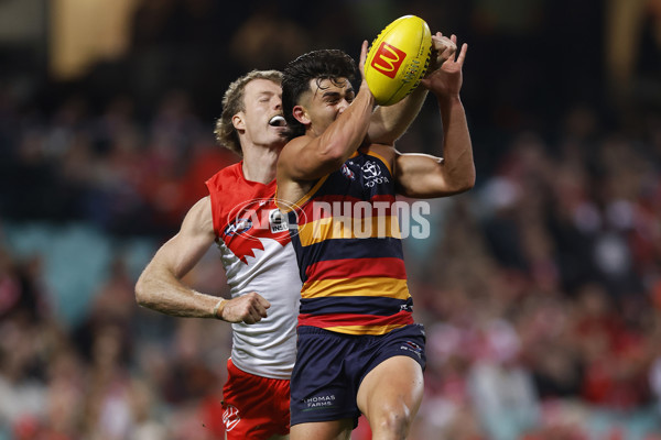 AFL 2025 Round 12 - Sydney v Adelaide - A-59776398