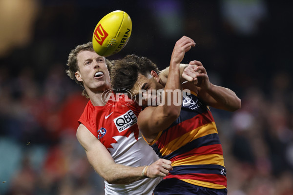 AFL 2025 Round 12 - Sydney v Adelaide - A-59776401