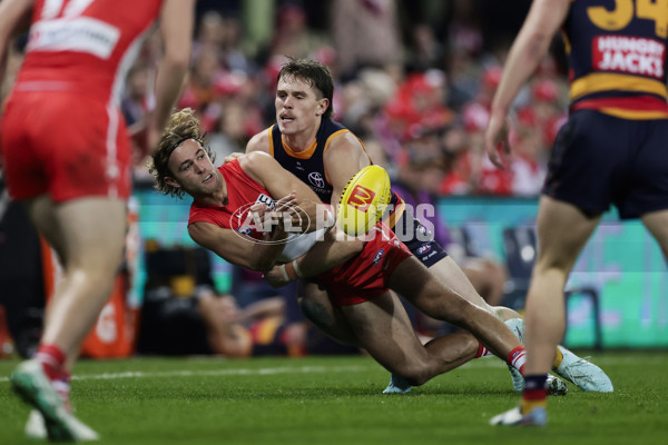 AFL 2025 Round 12 - Sydney v Adelaide - A-59776418