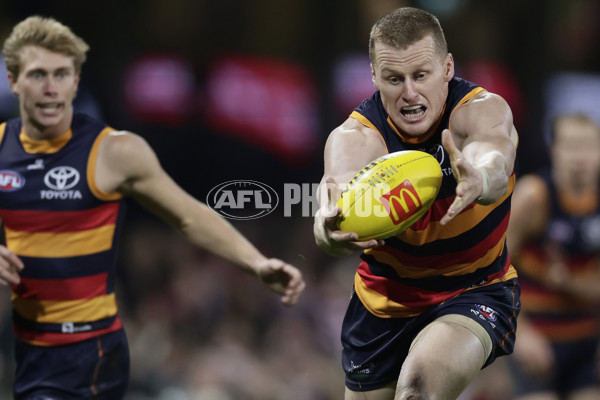 AFL 2025 Round 12 - Sydney v Adelaide - A-59776425