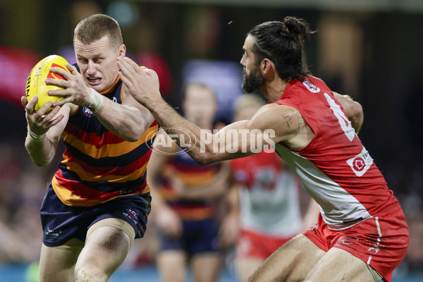 AFL 2025 Round 12 - Sydney v Adelaide - A-59777582