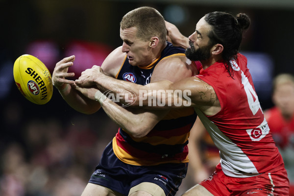 AFL 2025 Round 12 - Sydney v Adelaide - A-59777584