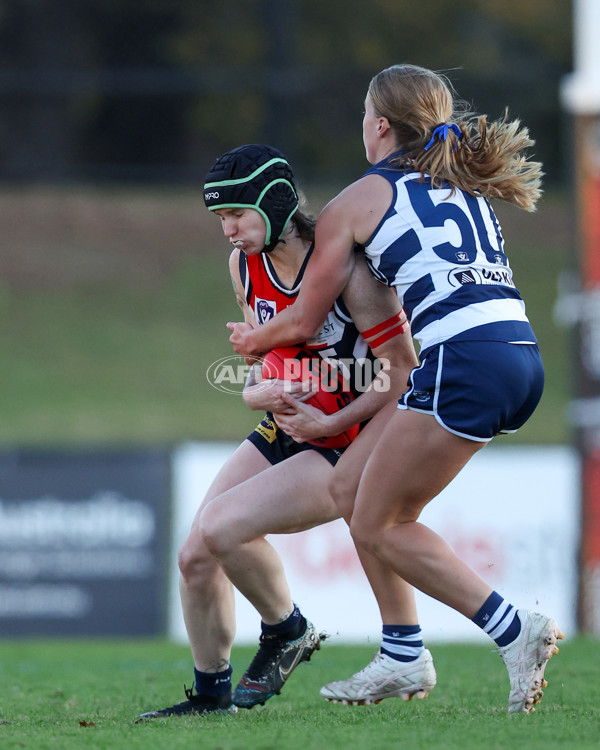 VFLW 2025 Round 07 - Darebin Falcons v Geelong Cats - A-59777600