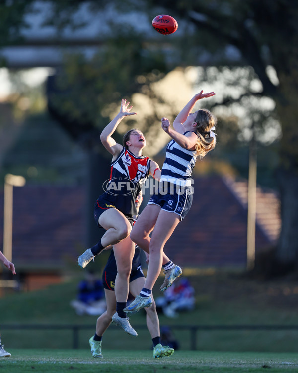 VFLW 2025 Round 07 - Darebin Falcons v Geelong Cats - A-59777602