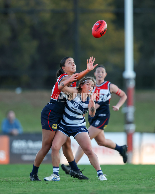 VFLW 2025 Round 07 - Darebin Falcons v Geelong Cats - A-59777603