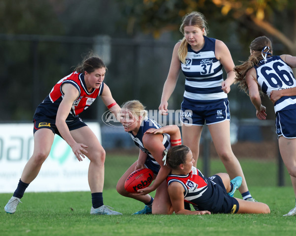 VFLW 2025 Round 07 - Darebin Falcons v Geelong Cats - A-59777614