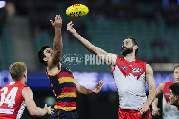 AFL 2025 Round 12 - Sydney v Adelaide - A-59779483