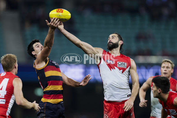 AFL 2025 Round 12 - Sydney v Adelaide - A-59779484