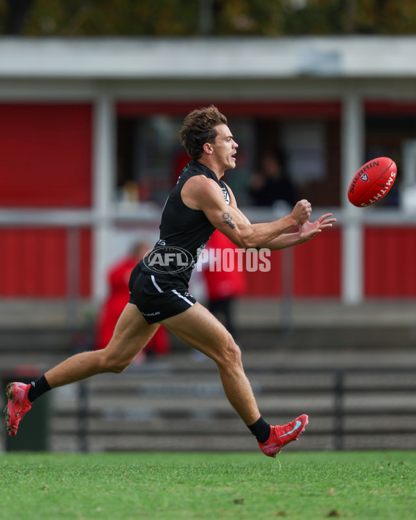 VFL 2025 Round 10 - Northern Bullants v Southport Sharks - A-59779508