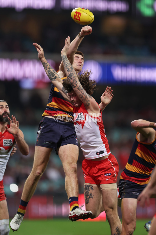 AFL 2025 Round 12 - Sydney v Adelaide - A-59779534