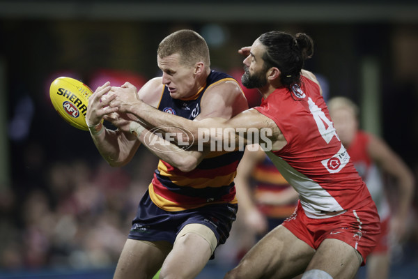 AFL 2025 Round 12 - Sydney v Adelaide - A-59779539