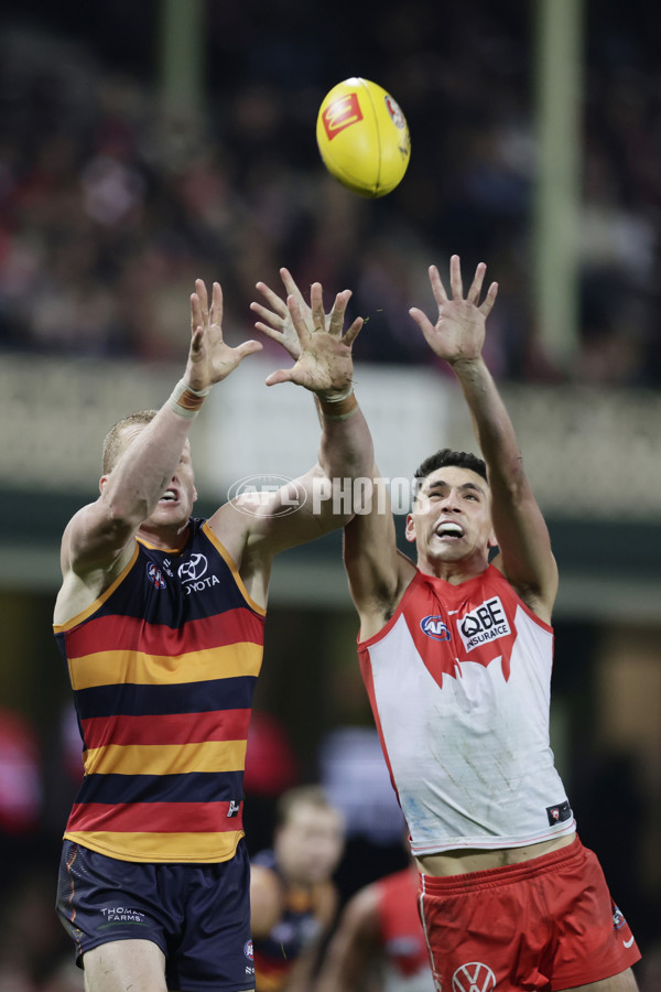 AFL 2025 Round 12 - Sydney v Adelaide - A-59779541