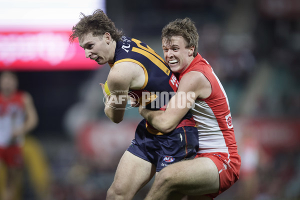 AFL 2025 Round 12 - Sydney v Adelaide - A-59779543