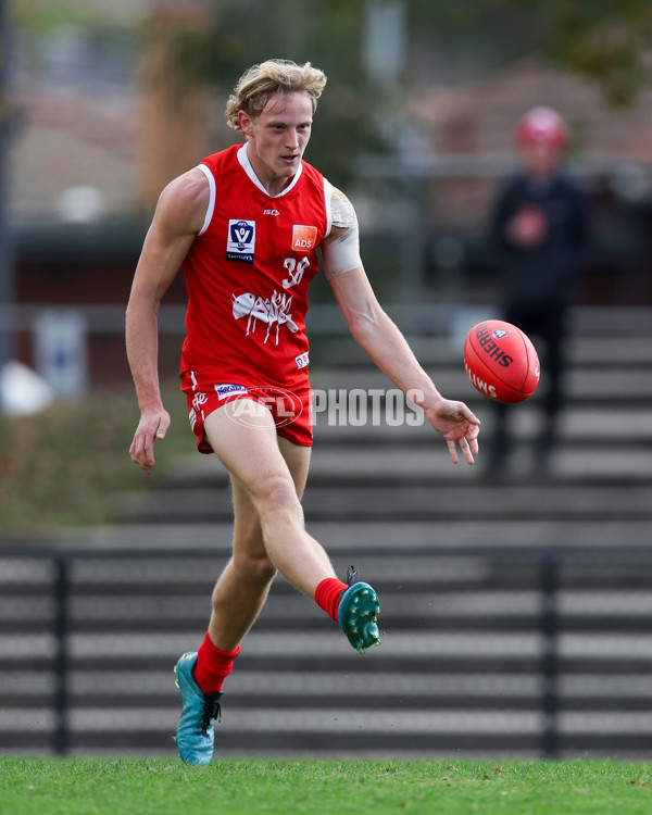 VFL 2025 Round 10 - Northern Bullants v Southport Sharks - A-59779559
