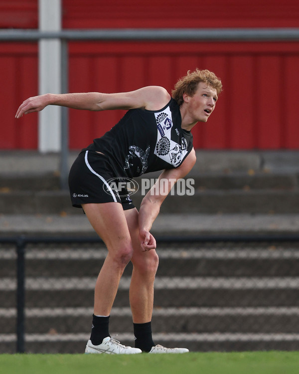 VFL 2025 Round 10 - Northern Bullants v Southport Sharks - A-59779563