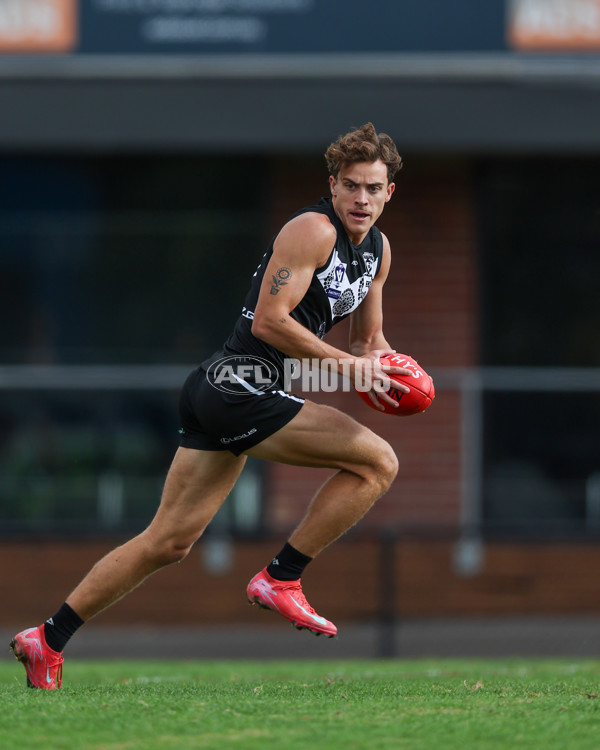 VFL 2025 Round 10 - Northern Bullants v Southport Sharks - A-59780319