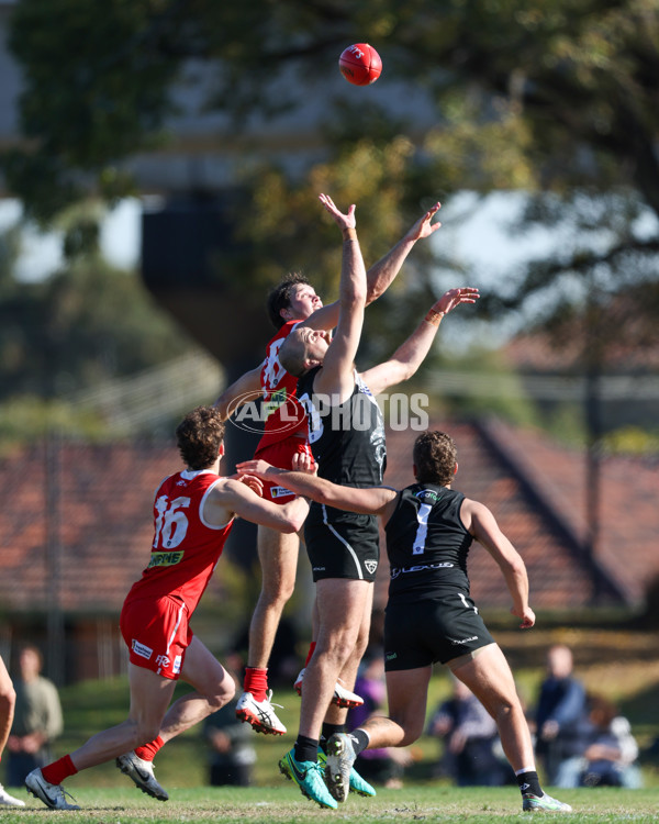 VFL 2025 Round 10 - Northern Bullants v Southport Sharks - A-59780323