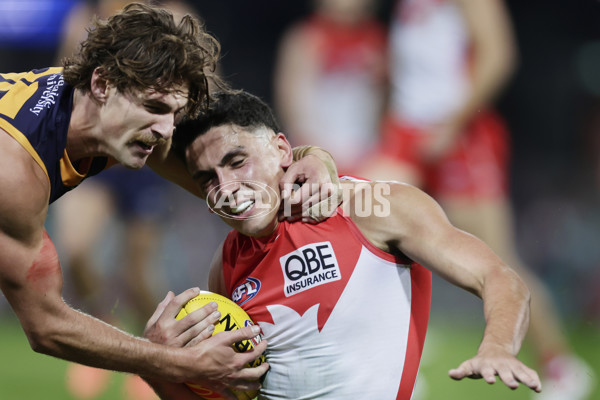AFL 2025 Round 12 - Sydney v Adelaide - A-59780325