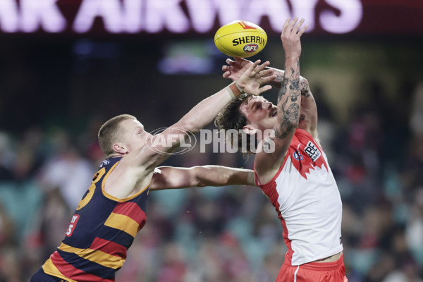 AFL 2025 Round 12 - Sydney v Adelaide - A-59780333