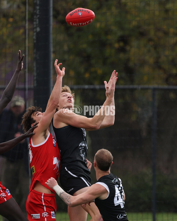 VFL 2025 Round 10 - Northern Bullants v Southport Sharks - A-59780348