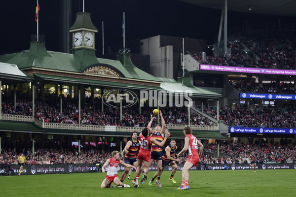 AFL 2025 Round 12 - Sydney v Adelaide - A-59783017