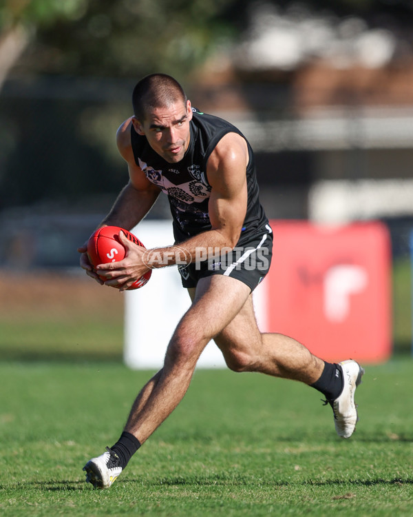 VFL 2025 Round 10 - Northern Bullants v Southport Sharks - A-59783056