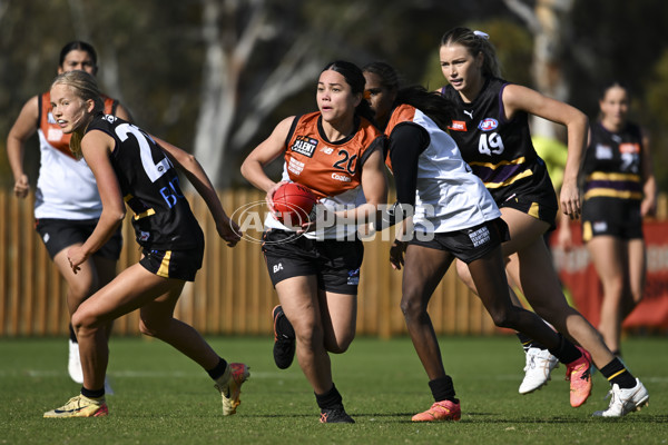 Coates League Girls 2025 Round 08 - Murray Bushrangers v Northern Territory Academy - A-59785206