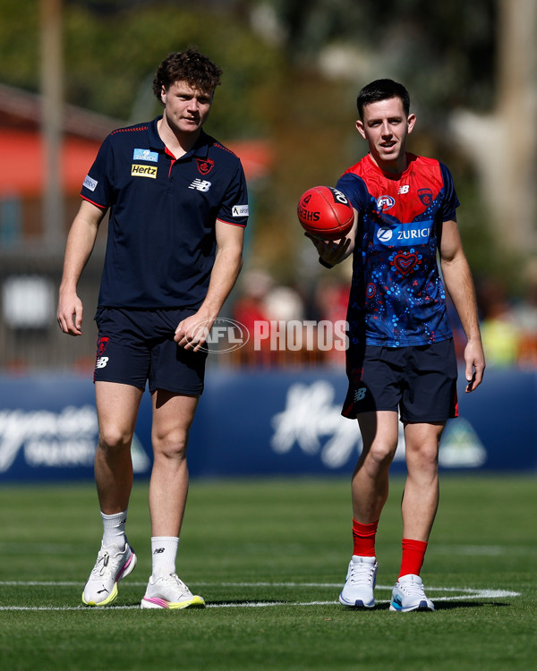 AFL 2025 Round 12 - Melbourne v St Kilda - A-59787776