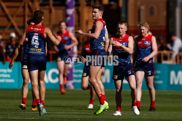 AFL 2025 Round 12 - Melbourne v St Kilda - A-59788210