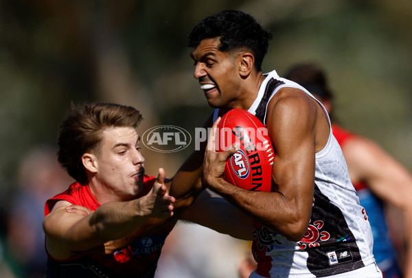 AFL 2025 Round 12 - Melbourne v St Kilda - A-59788217