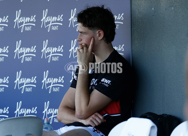 AFL 2025 Round 12 - Melbourne v St Kilda - A-59790495