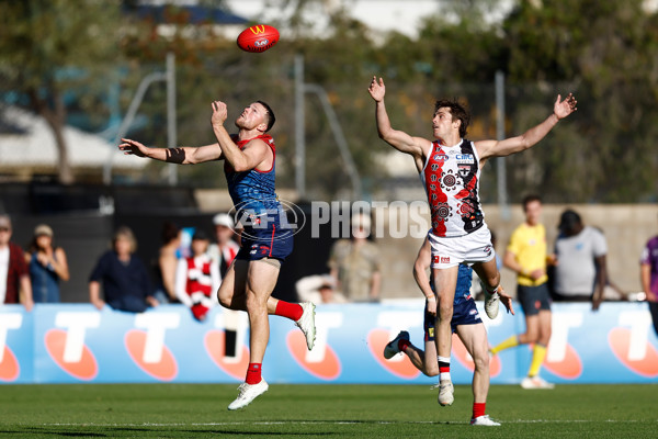 AFL 2025 Round 12 - Melbourne v St Kilda - A-59790533