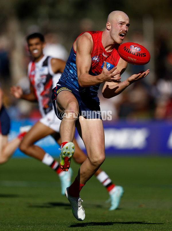 AFL 2025 Round 12 - Melbourne v St Kilda - A-59790534