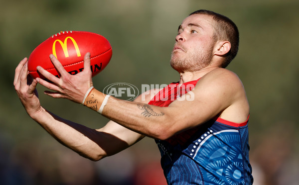 AFL 2025 Round 12 - Melbourne v St Kilda - A-59790536