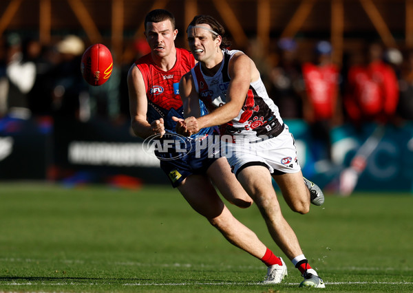 AFL 2025 Round 12 - Melbourne v St Kilda - A-59790573