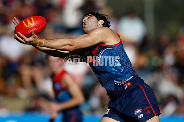 AFL 2025 Round 12 - Melbourne v St Kilda - A-59791035