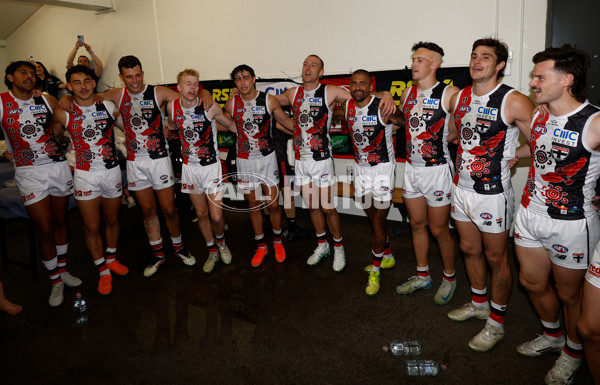 AFL 2025 Round 12 - Melbourne v St Kilda - A-59793219