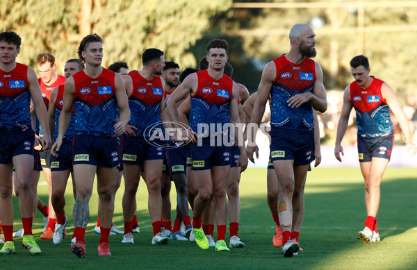 AFL 2025 Round 12 - Melbourne v St Kilda - A-59793262